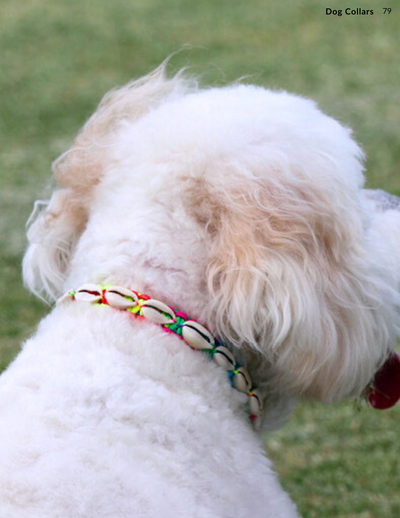 Rainbow Shells Dog Collar